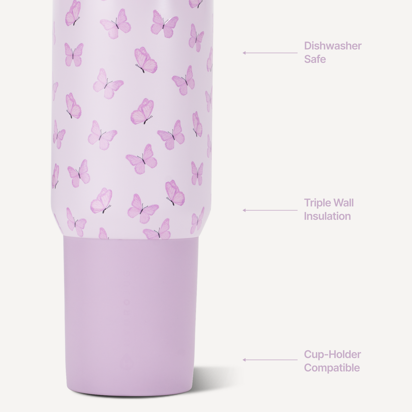 flutter-l3 Sport20-Flutter-3-WPI.png