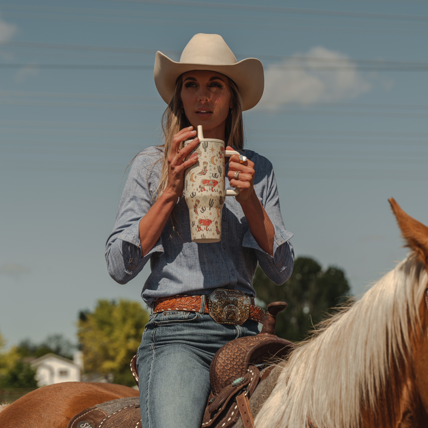 rodeo-t8 TRVL-Rodeo-6WPI.png