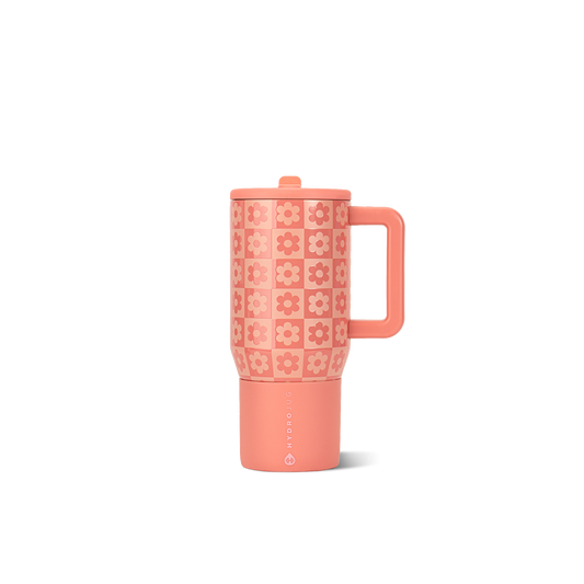 daisy-checkers-b2 TRVL20-DaisyChecker-1-WPI.png